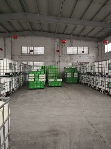 China Shenzhen Taiqiang Investment Holding Co., Ltd Bedrijfsprofiel